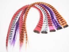 hair feathers clip in